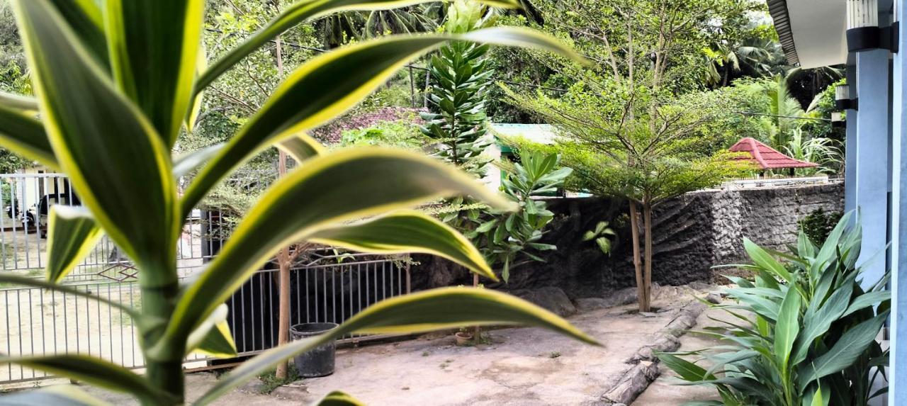 Sakila Homestay Kuta  Dış mekan fotoğraf
