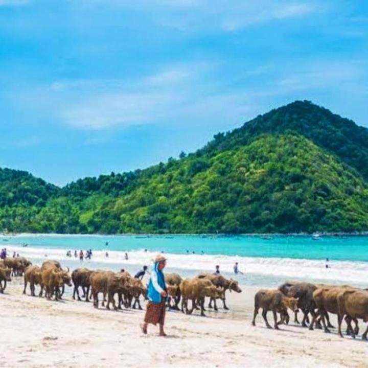 Sakila Homestay Kuta  Dış mekan fotoğraf