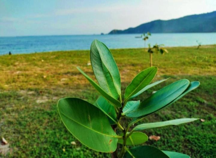 Sakila Homestay Kuta  Dış mekan fotoğraf